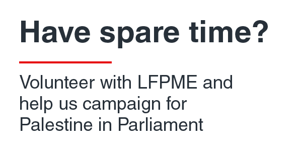Volunteer for Palestine with LFPME