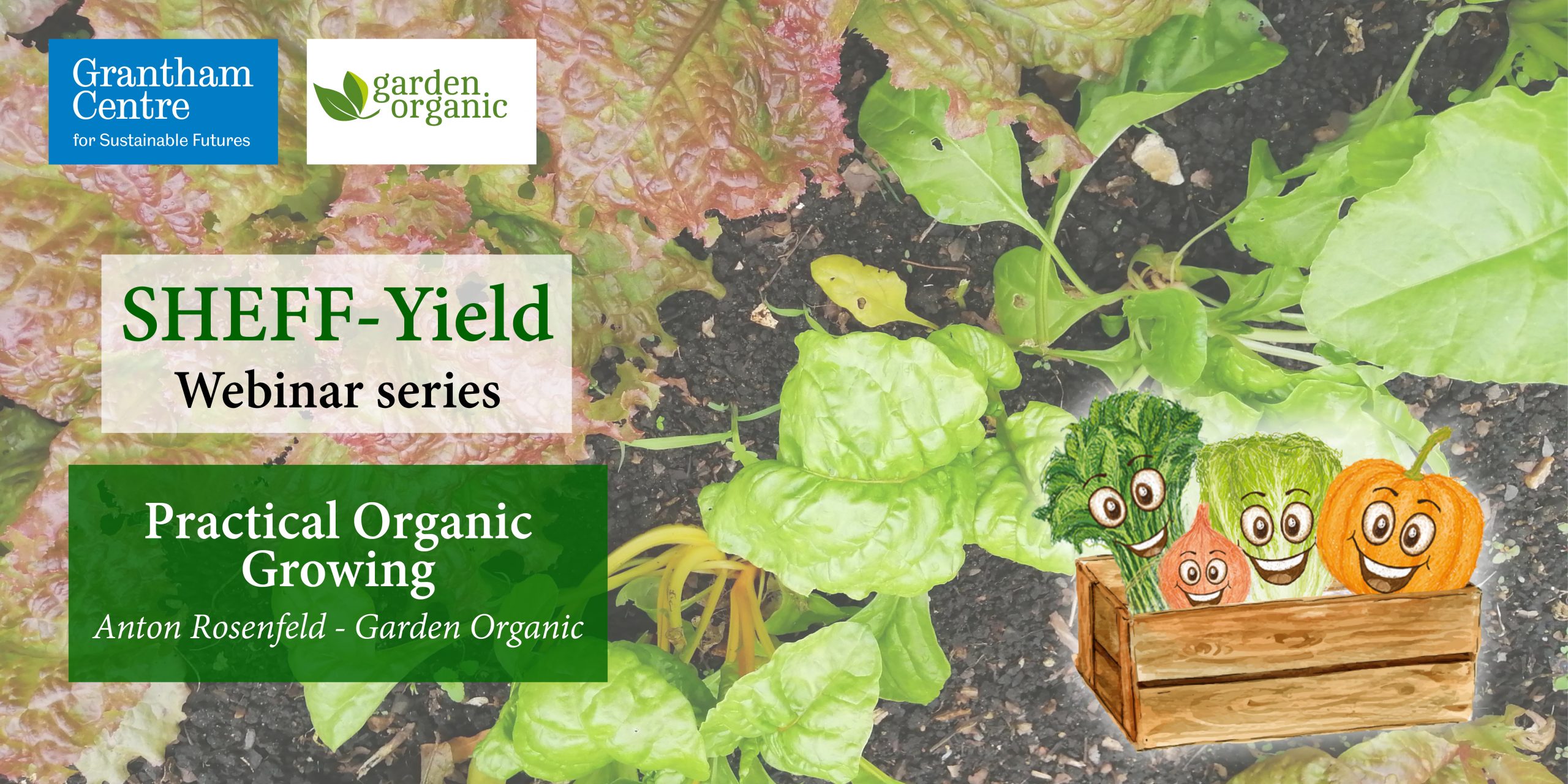 Practical Organic Growing